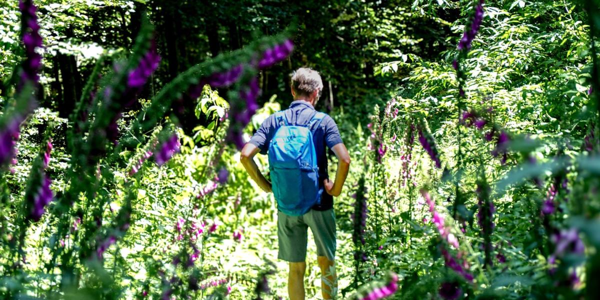 Ein Wanderer im Wald