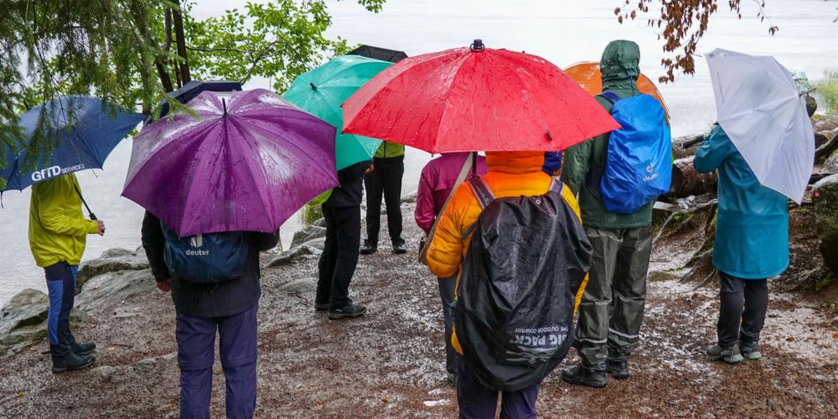 Bunte Regenschirme am Feldsee