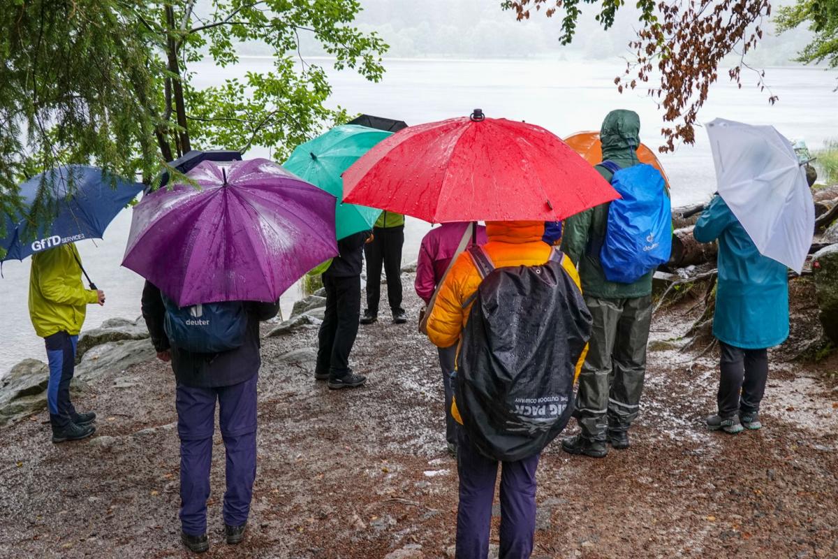 Bunte Regenschirme am Feldsee