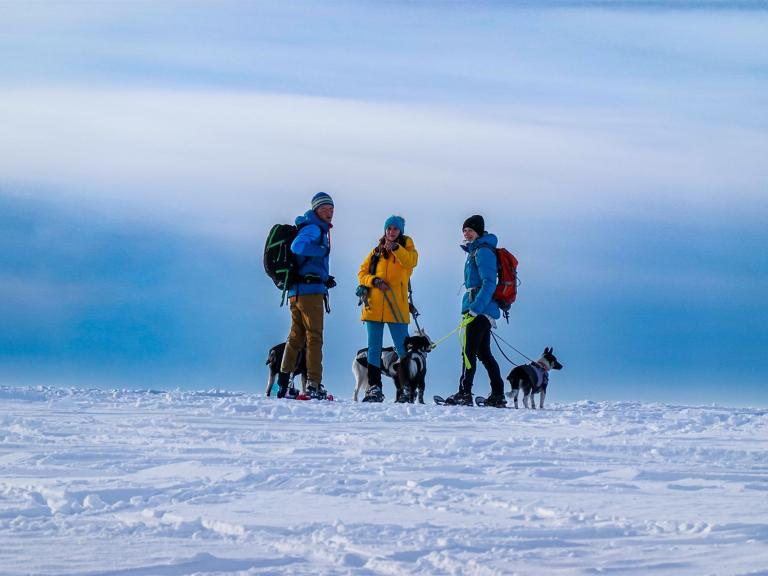 Schneeschuhwanderer mit Hunden