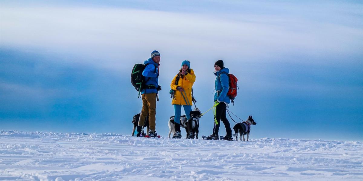 Schneeschuhwanderer mit Hunden