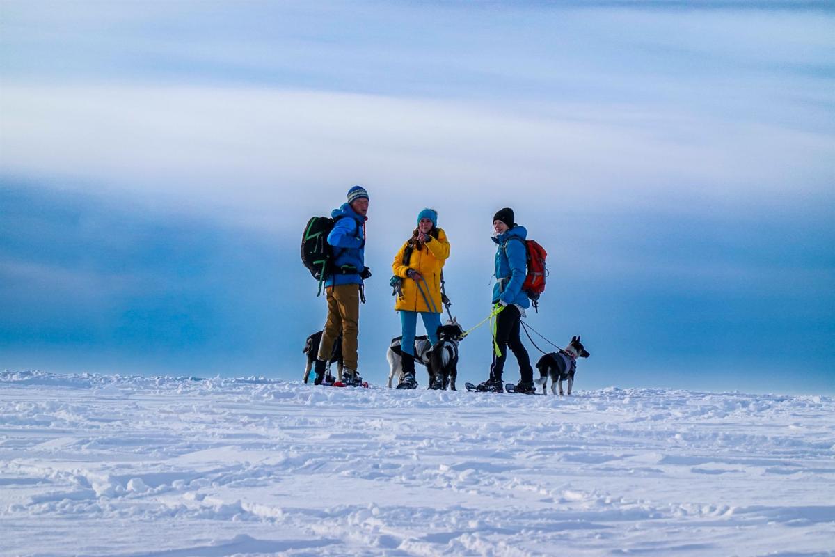 Schneeschuhwanderer mit Hunden