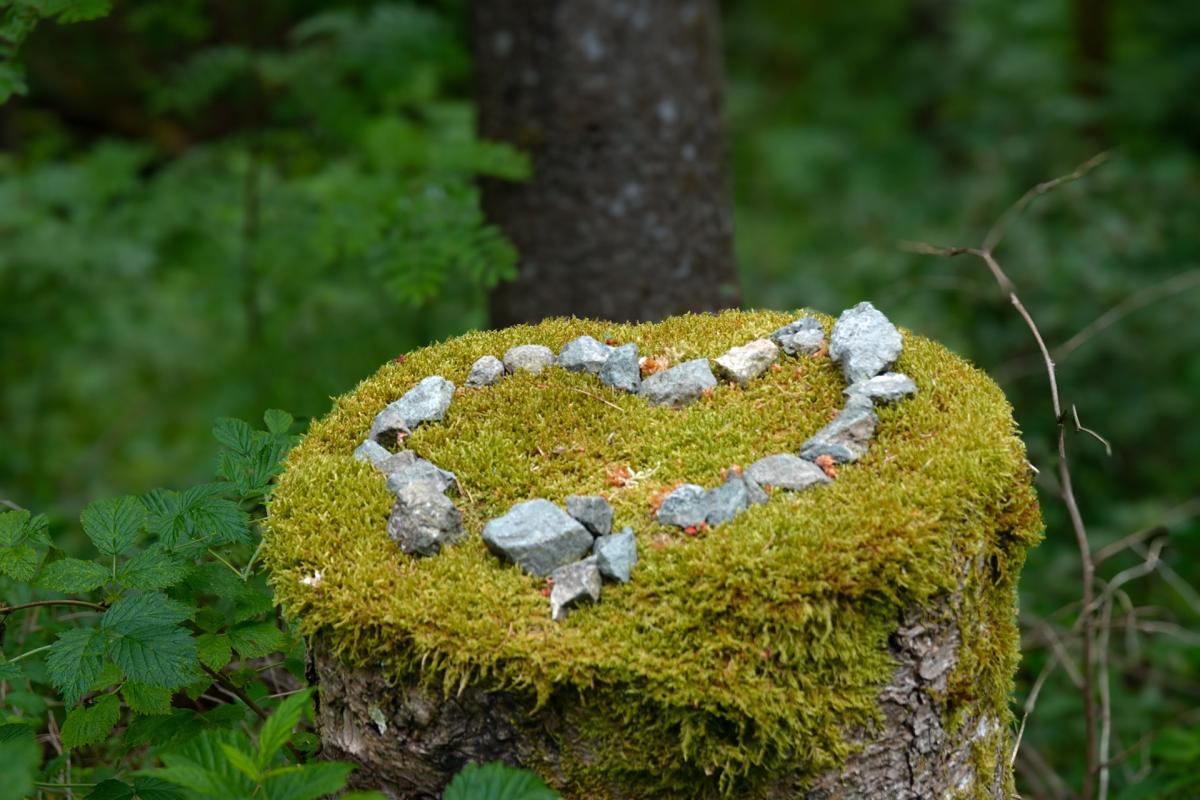 Landart Herz im Wald