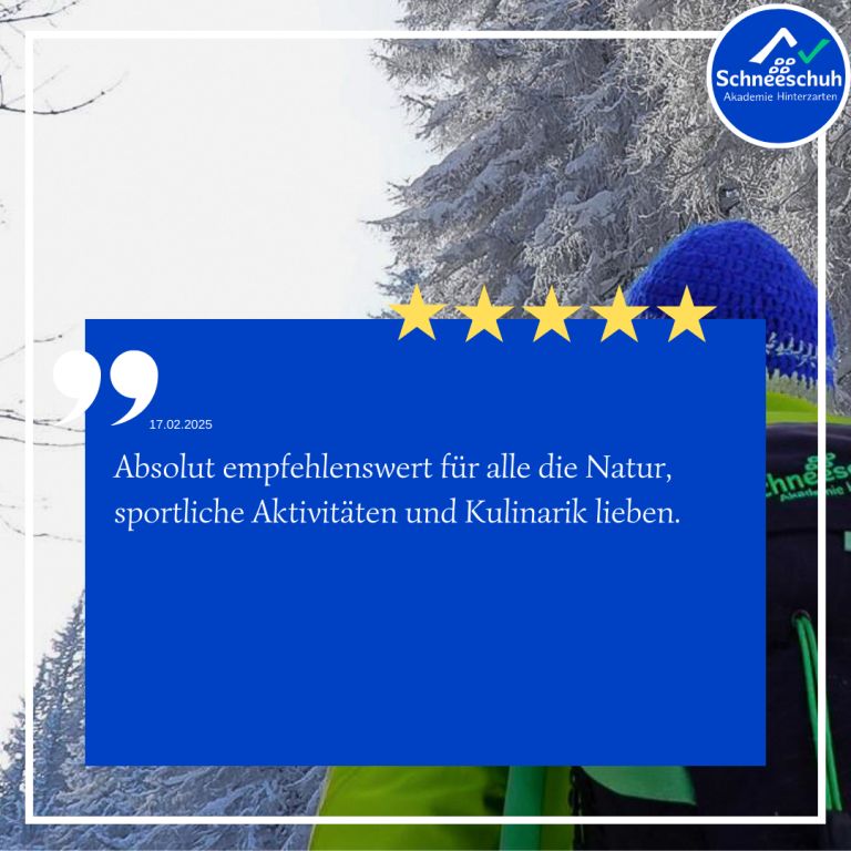 Blick in verschneite Baumwipfel und blauen Himmel