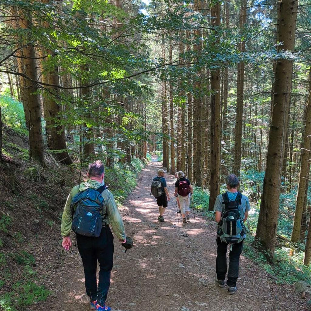 Wandergruppe im Wald