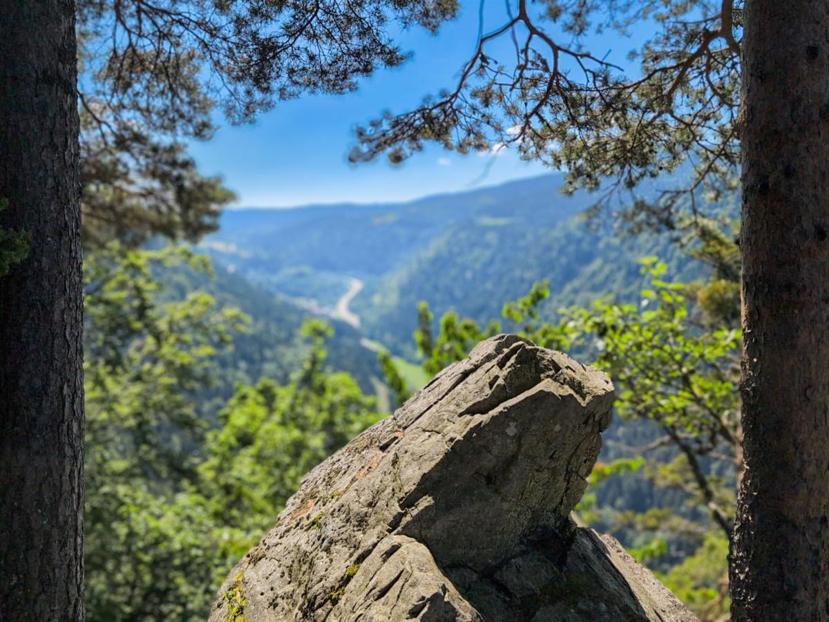 Blick übers Höllental
