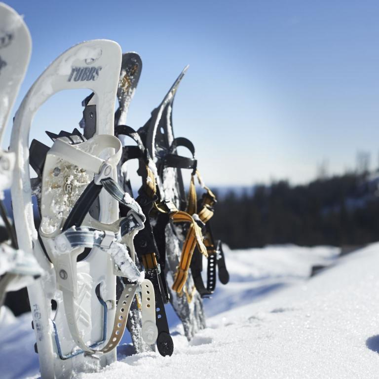 Schneeschuhe im Schnee