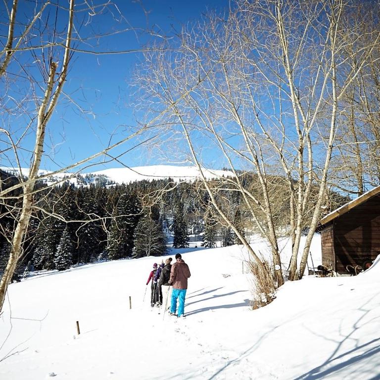Schneeschuhwanderer vor Hütte 