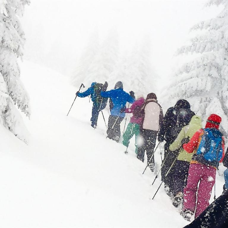 Schneeschuhwanderer im Schneesturm