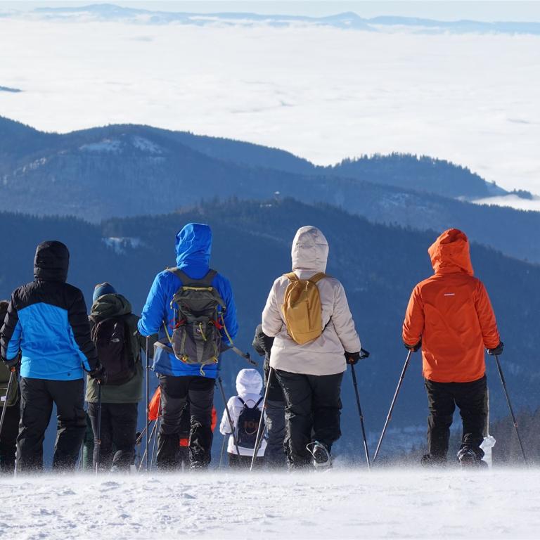 Schneeschuhwanderer mit Blick ins nebelverhangene Tal