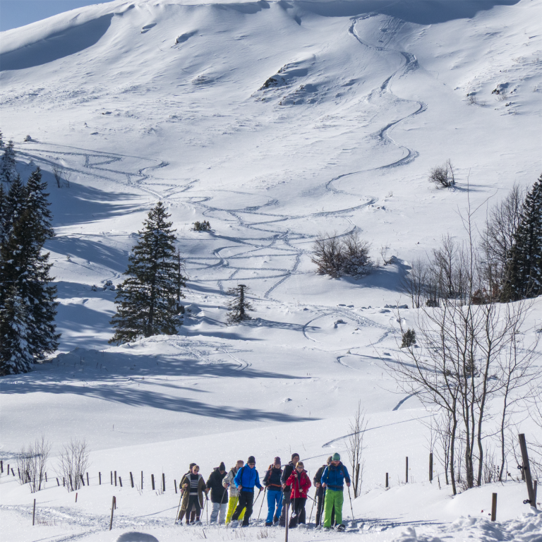 Schneeschuhwanderer im Schwarzwald