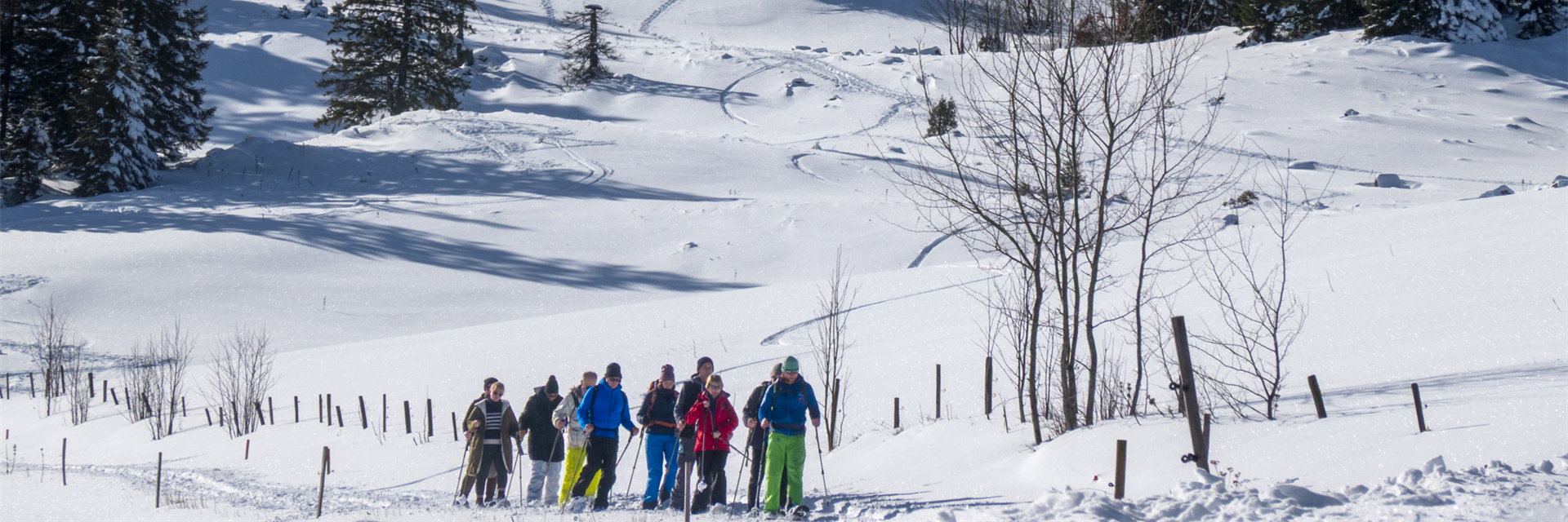 Schneeschuhwanderer am Feldberg