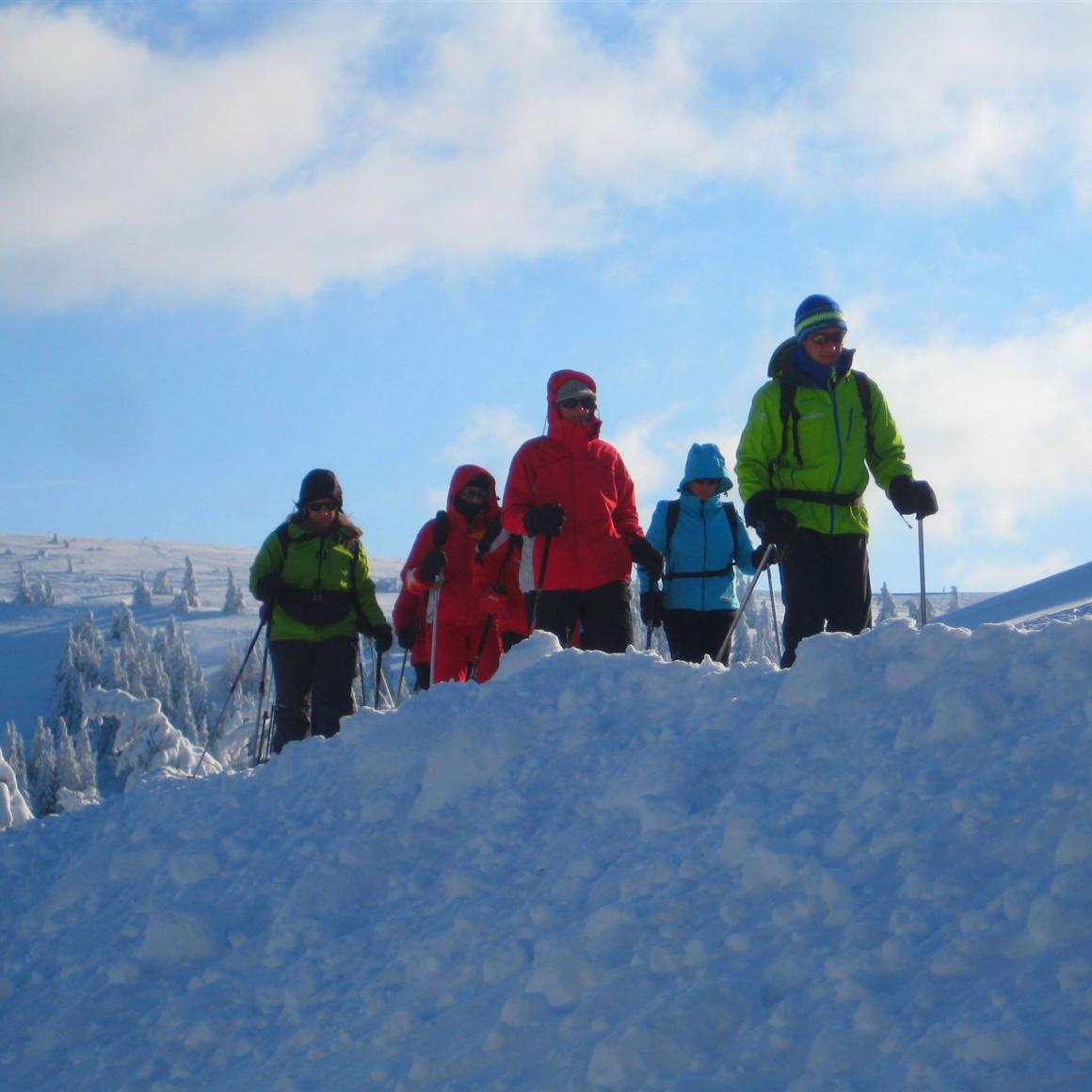 Schneeschuhwanderer am Feldberg