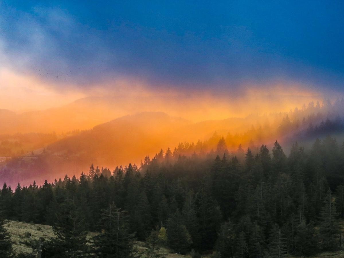 Sonnenaufgang Herbstlicht im Schwarzwald