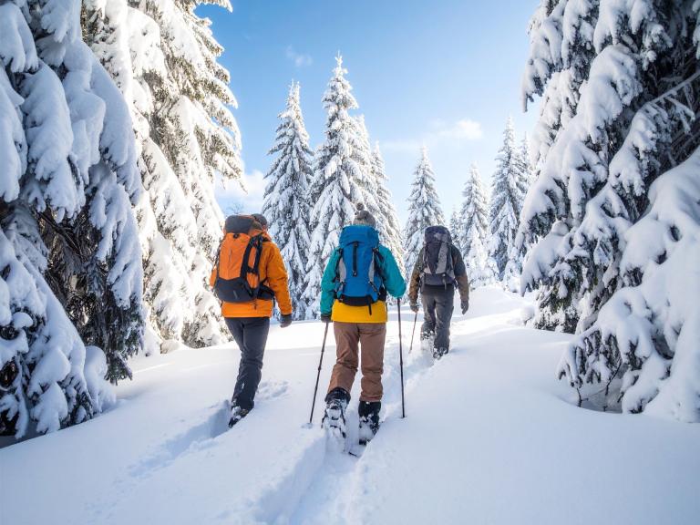 Geführte Schneeschuhwanderung im Schwarzwald mit Hüttenpause für Gruppen