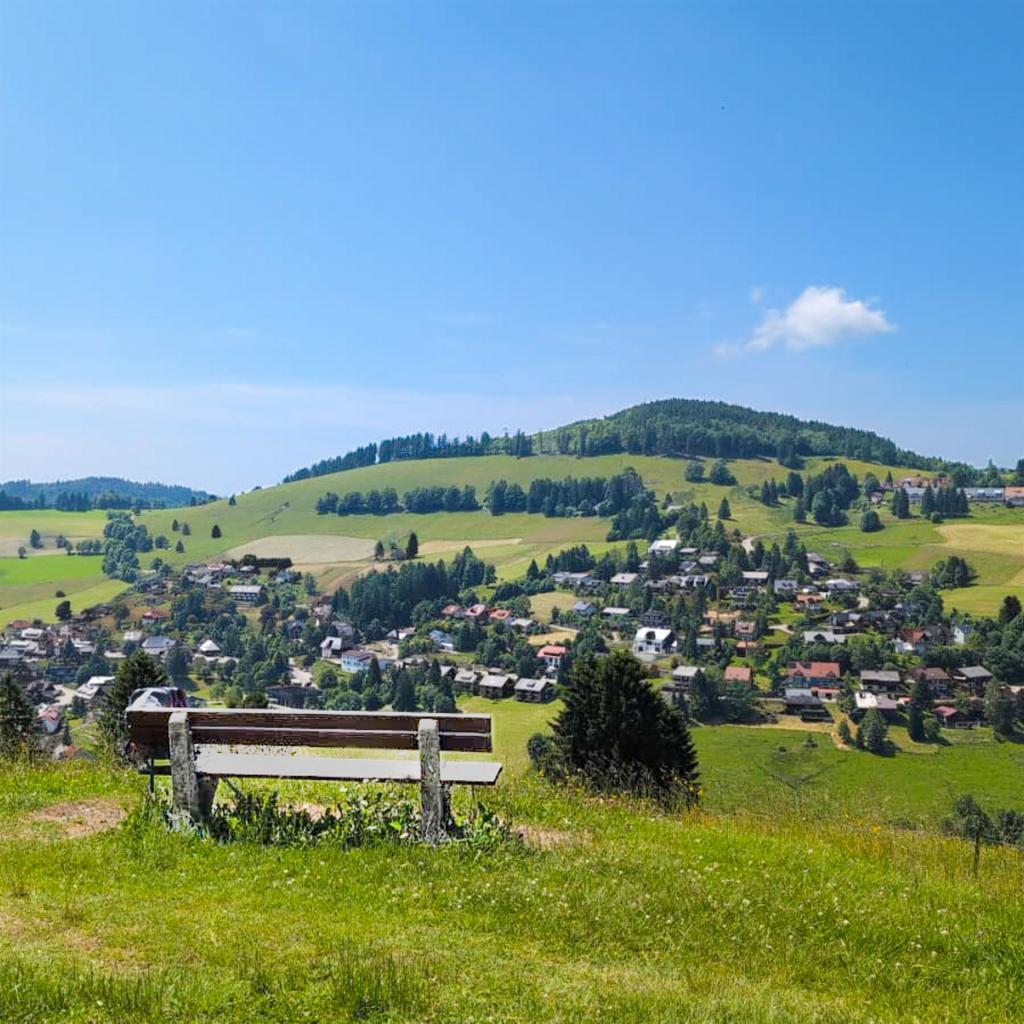 Ruhebänkle im Schwarzwald