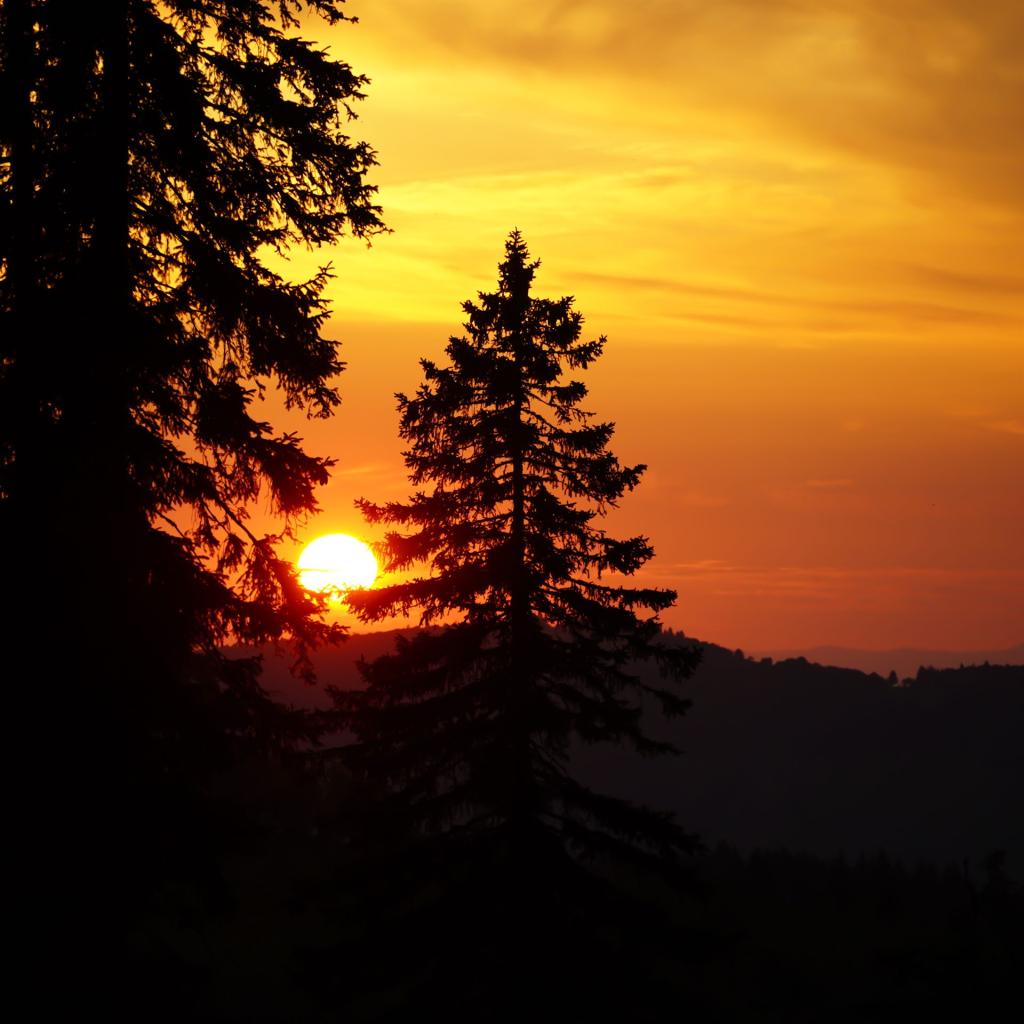Sonnenuntergang 