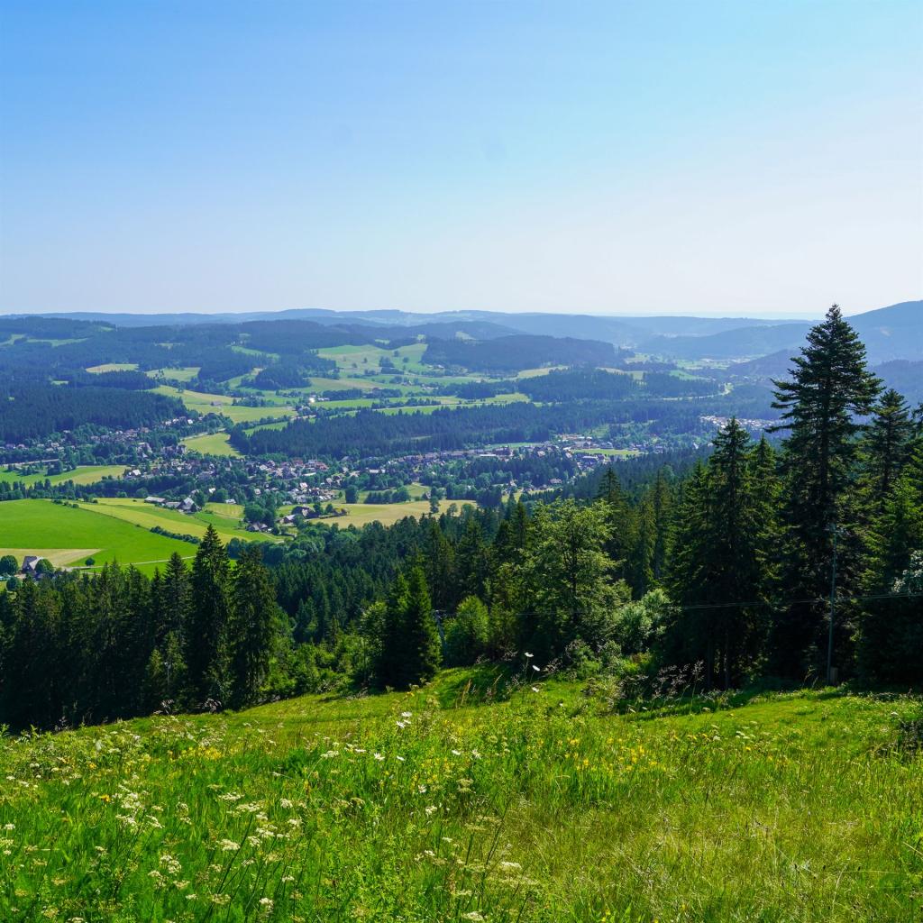 Blick über grüne Wiesen ins Tal